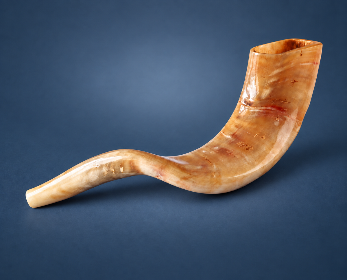 Rams Horn Shofar (14”-16”)